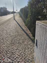 Photo of this report