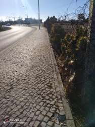 Photo of this report