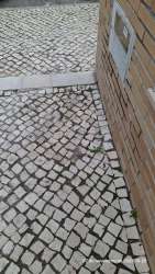 Photo of this report