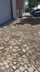 Photo of this report