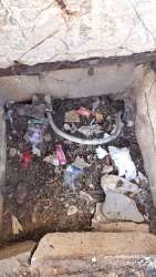 Photo of this report