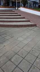 Photo of this report