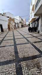 Photo of this report