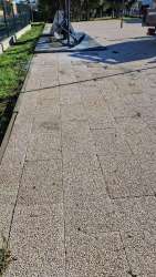 Photo of this report