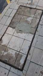 Photo of this report