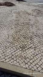 Photo of this report