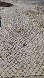 Photo of this report