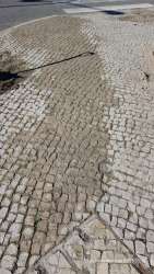 Photo of this report