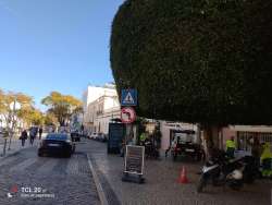 Photo of this report