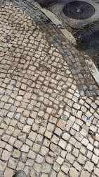 Photo of this report