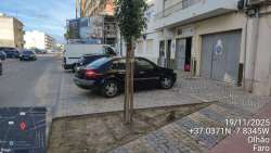 Photo of this report