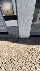 Photo of this report