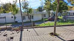 Photo of this report