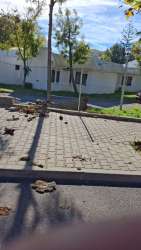 Photo of this report