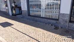 Photo of this report