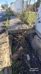 Photo of this report