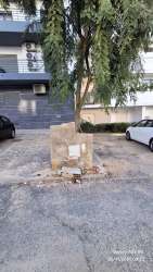 Photo of this report