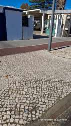 Photo of this report