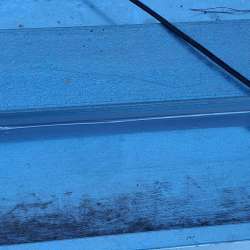 Photo of this report