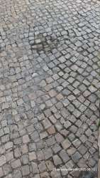 Photo of this report