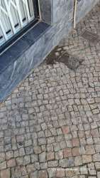 Photo of this report