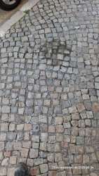 Photo of this report