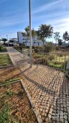 Photo of this report