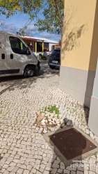 Photo of this report