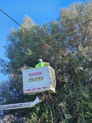 Photo of this report