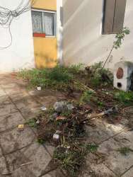 Photo of this report