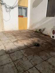 Photo of this report