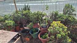 Photo of this report