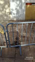 Photo of this report