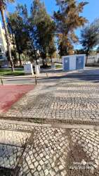 Photo of this report