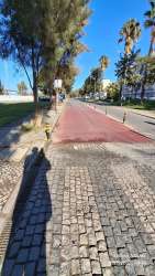 Photo of this report