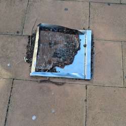 Photo of this report