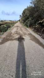 Photo of this report