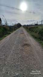 Photo of this report