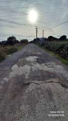 Photo of this report