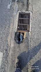 Photo of this report