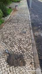 Photo of this report