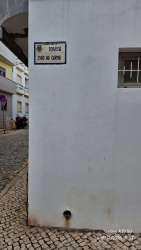 Photo of this report