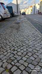 Photo of this report