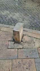 Photo of this report